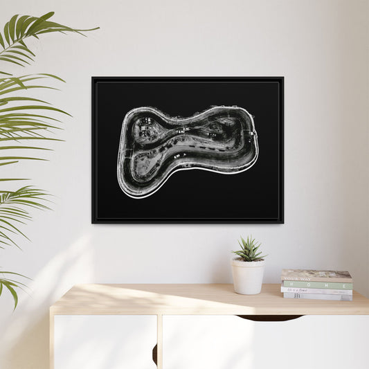 Toile Anatomie Radiographique