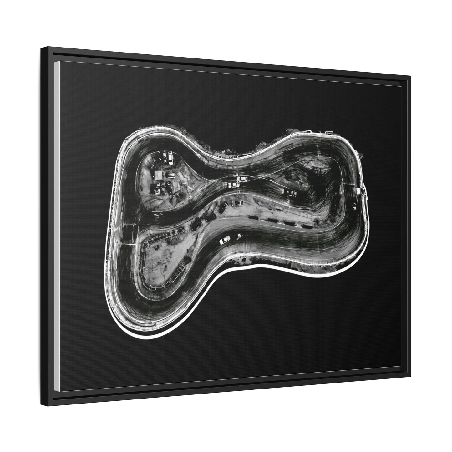 Toile Anatomie Radiographique